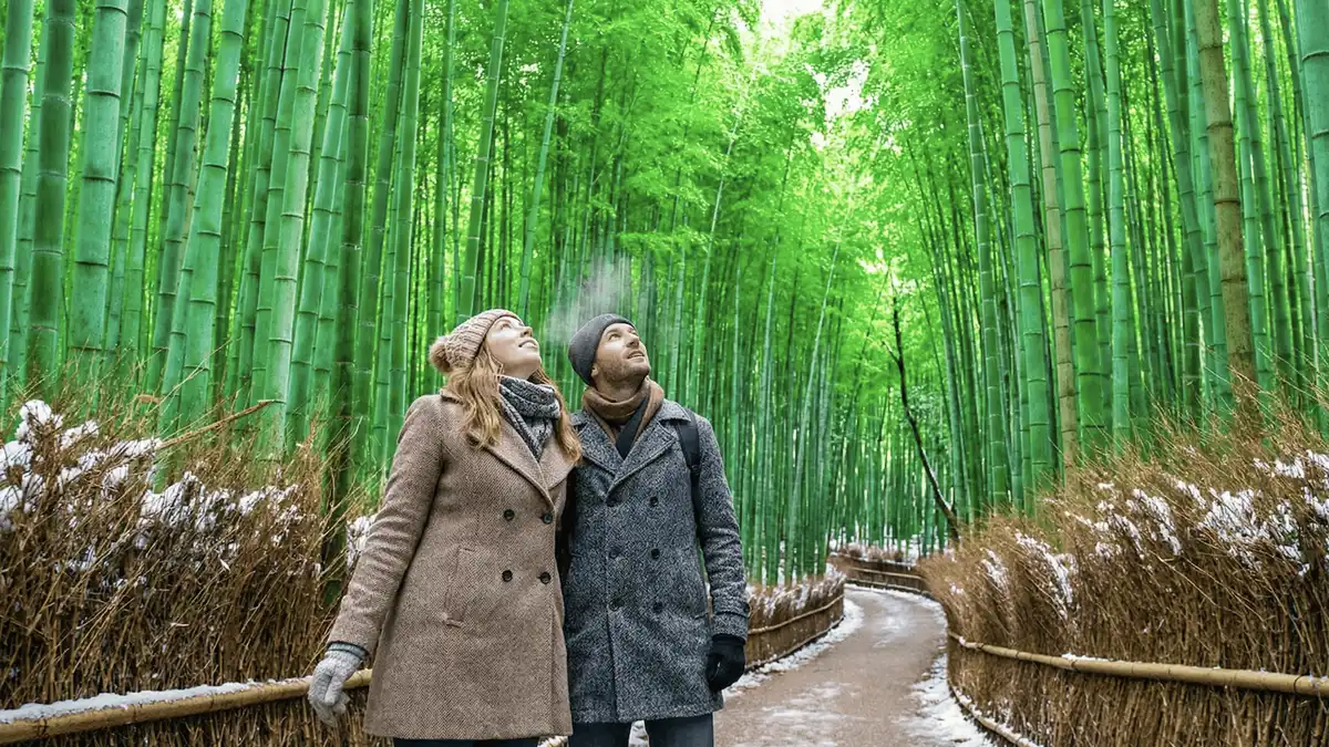 Small guided group beneath the bamboo canopy on the Sagano path at the Arashiyama Bamboo Forest, Kyoto