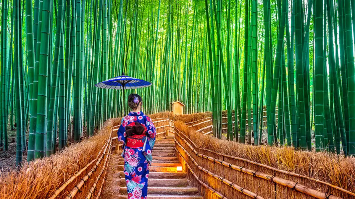 Kimono-fabric pillars glowing at Randen Arashiyama Station near the Arashiyama Bamboo Forest in Kyoto, Japan